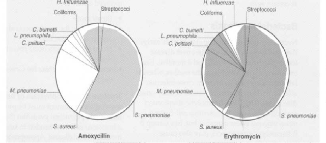 The segment sizes of the pie chart are proportional to the frequency with which that organism is responsible for infection. The area of shading within a segment indicates the usefulness of the antibiotic against that organism.